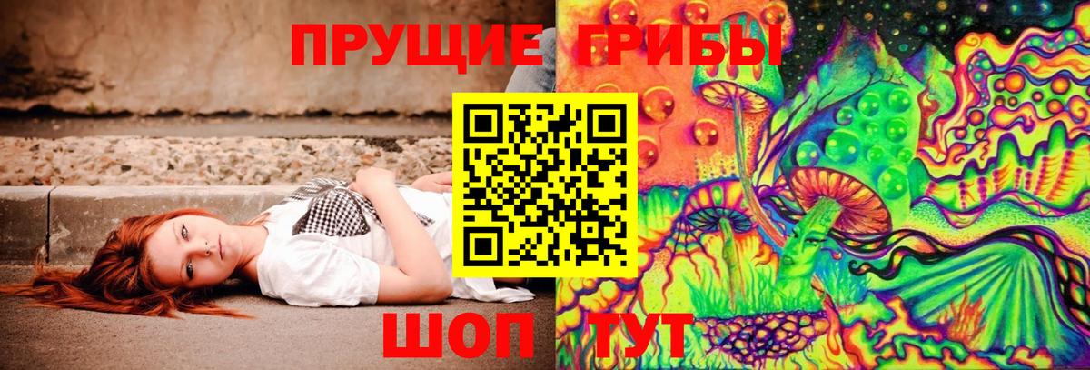 Псилоцибиновые грибы Psilocybine cubensis Нарьян-Мар